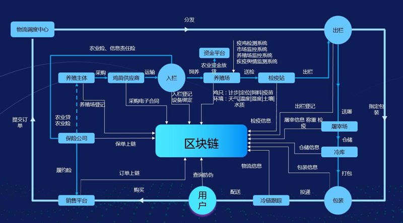 区块链培训市场的崛起与展望