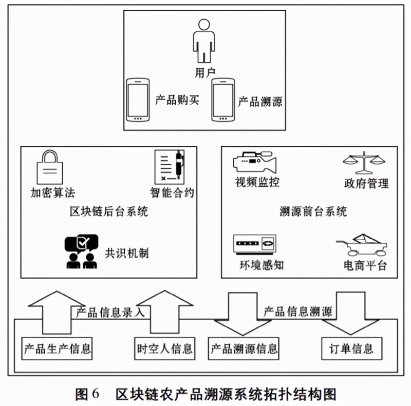 区块链技术开发引领未来趋势
